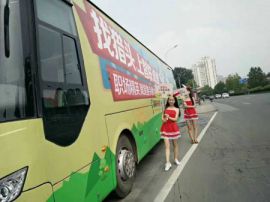 案例展示